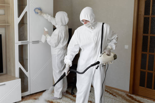 24/7 Emergency Odor Removal experts in Greenville, OH